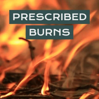 Chiropractic Clarksville TN Prescribed Burns